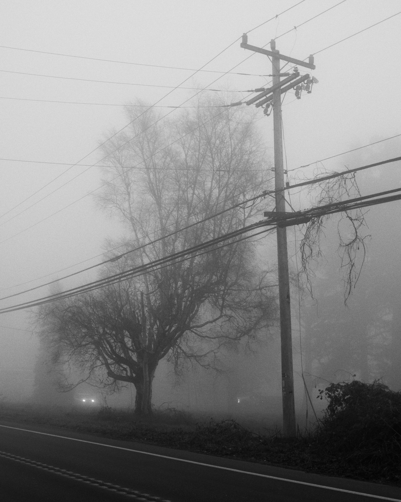 Road in mist