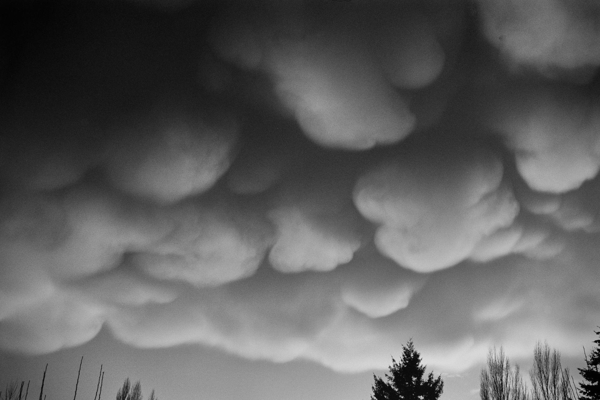 Mammatus clouds