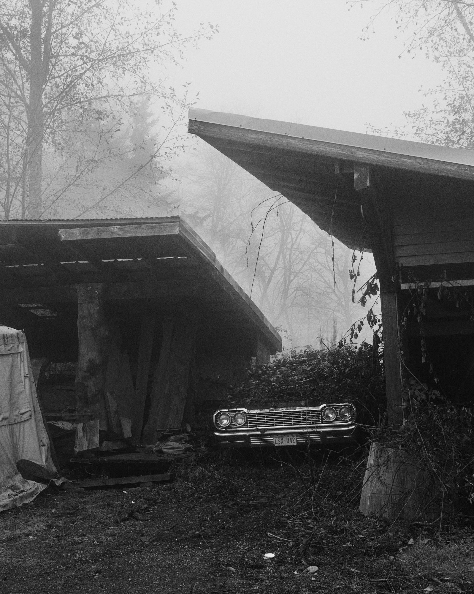 Car in the shed