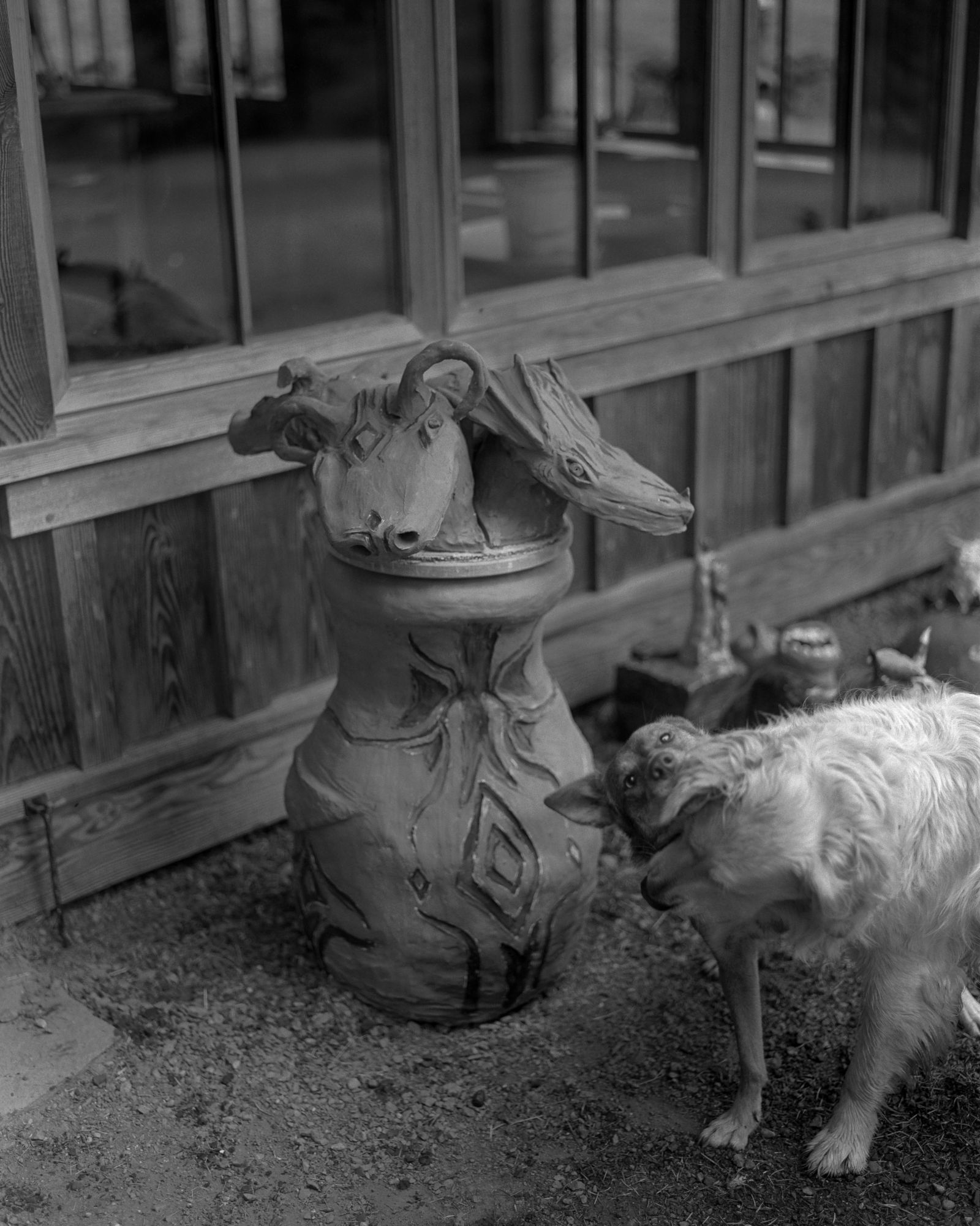 Dogs playing under statue