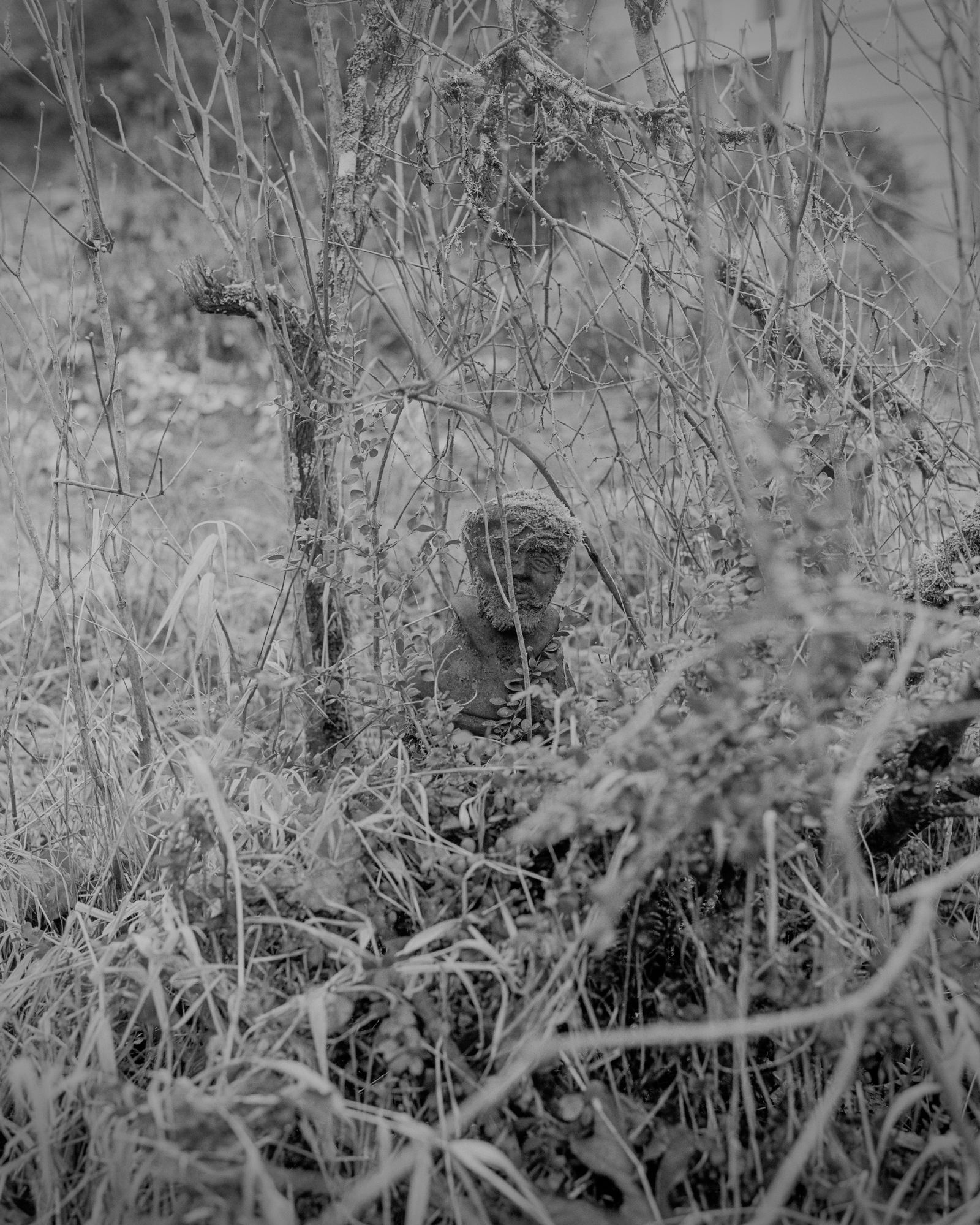 Statue in the brush
