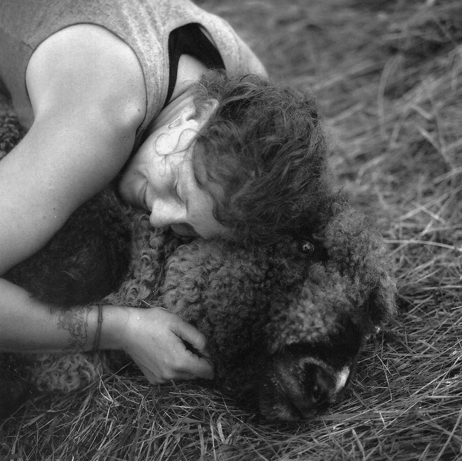 Woman hugging sheep