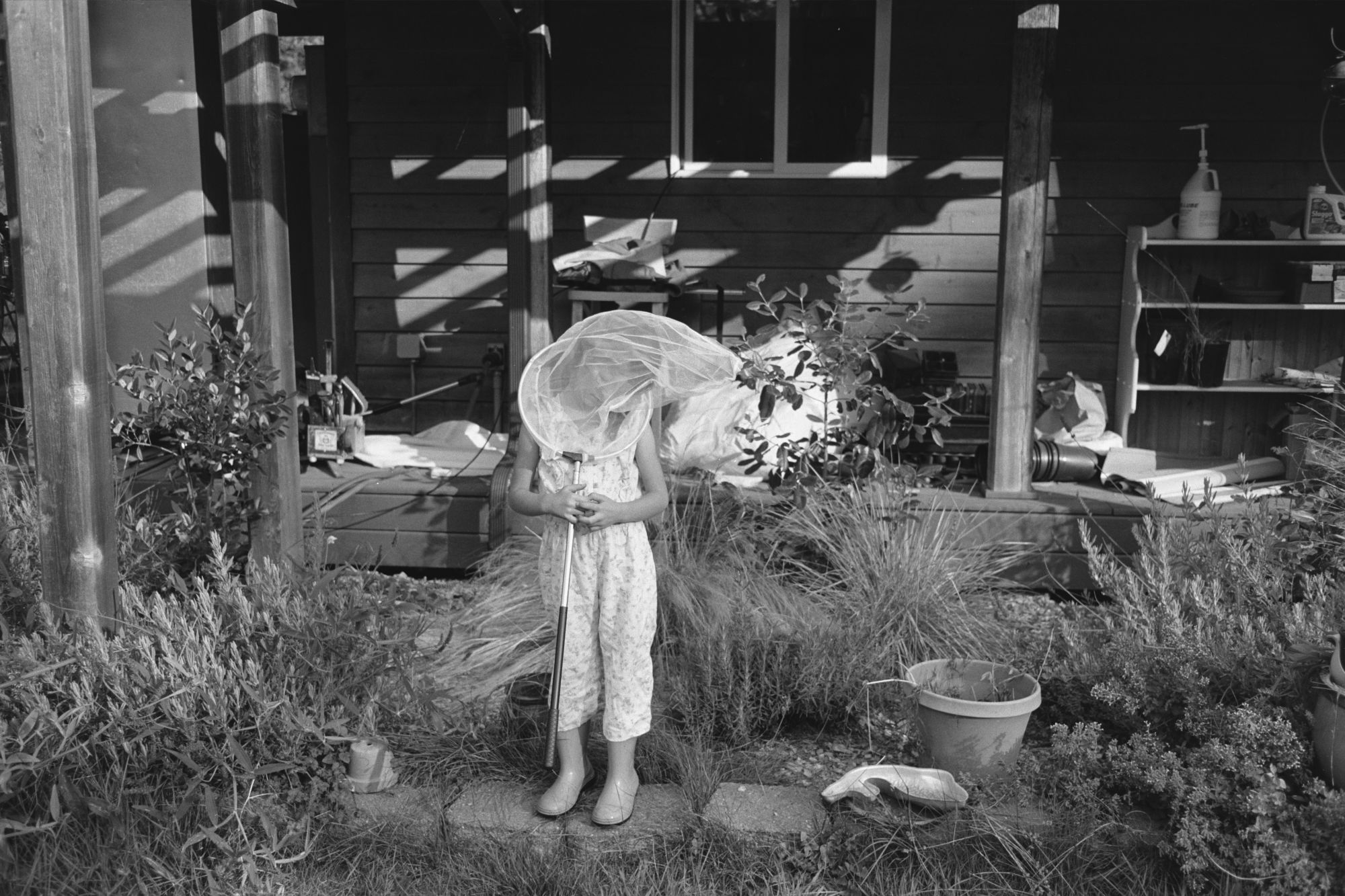 Child with butterfly net