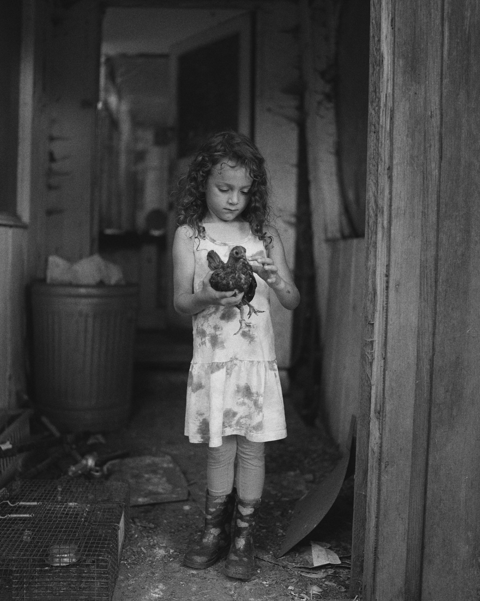 Child with chicken