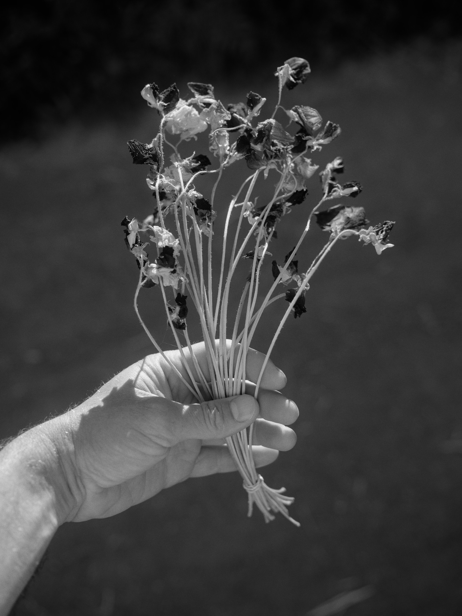 Ordinary Time photo 16